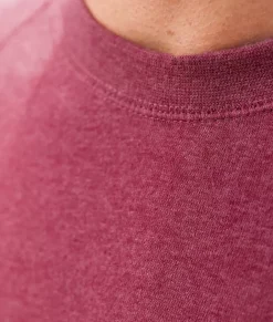 Shirts><noscript><img width=